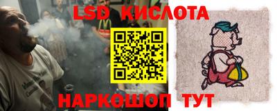 прущие грибы Обь