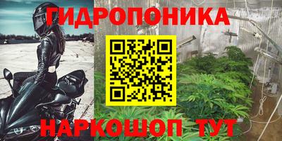 прущие грибы Обь